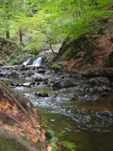 Prießnitz-Wasserfall in der Dresdner Heide