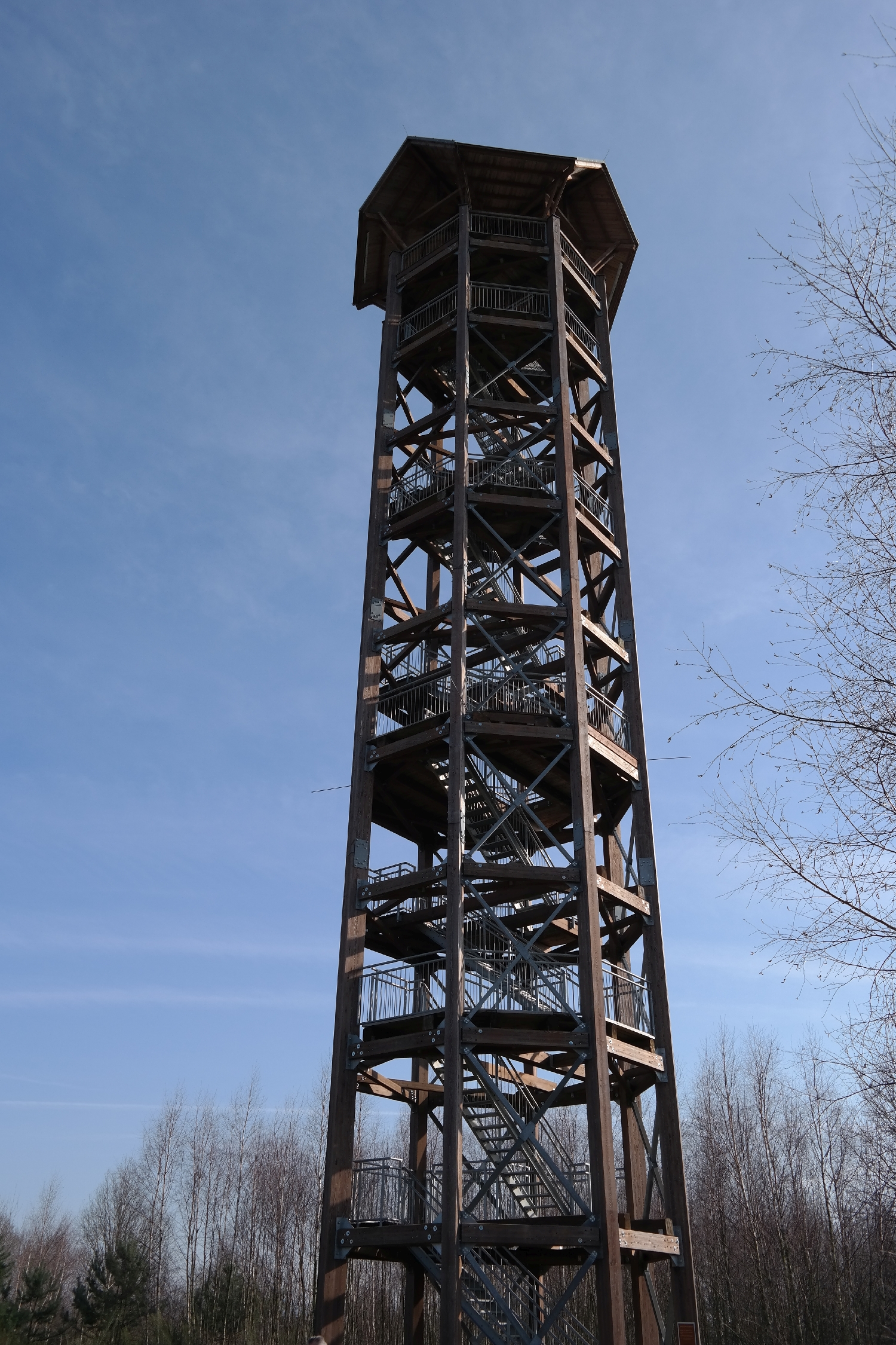 Haselbergturm in der Königsbrücker Heide