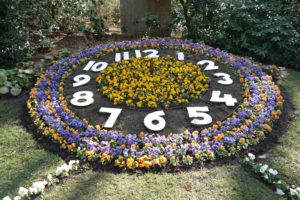 Blumenuhr im Stadtpark Hainichen