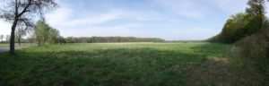 Teil der Hofewiese in der Dresdner Heide