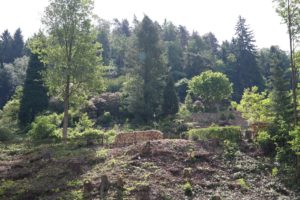 Botanischer Garten Bad Schandau