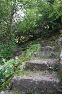 Botanischer Garten Bad Schandau