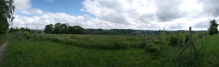 Panorama vom Vogtland