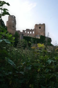 Burgruine Frauenstein