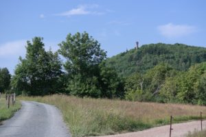 Viele Wege führen auf den Geisingberg