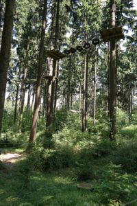 Kletterwald Greifensteine