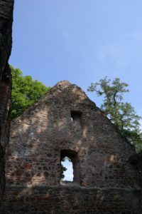 Klosterruine Nimbschen