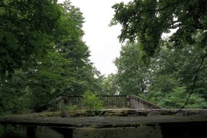Wolfshügelturm auf dem Wolfshügel der Dresdner Heide