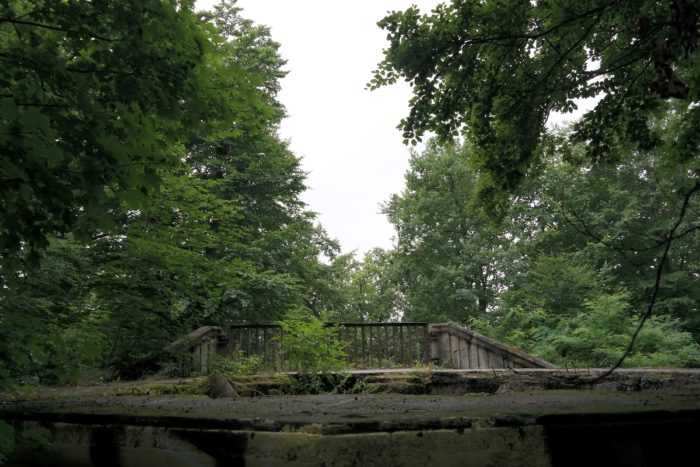 Wolfshügelturm auf dem Wolfshügel der Dresdner Heide