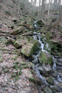 Nebenlauf der Roten Weißeritz