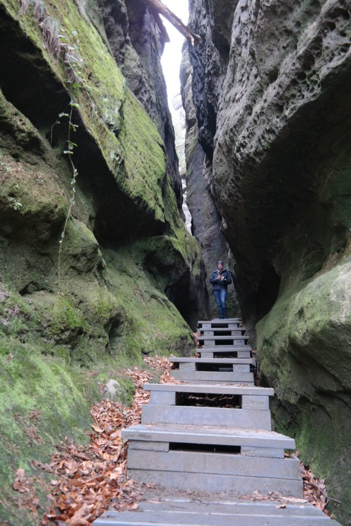 Hinauf zum Kuhstall auf dem Neuen Wildenstein