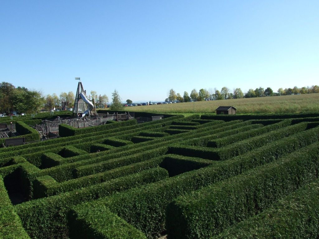 Irrgarten Kleinwelka in Bautzen