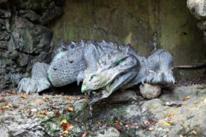 Drache im Stadtpark Plauen