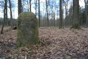 Liegauer Saugarten in der Dresdner Heide