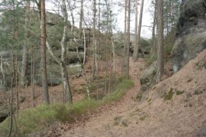 Brüdersteine in der Sächsischen Schweiz