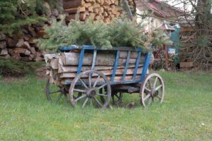 Handwagen in Hinterhermsdorf