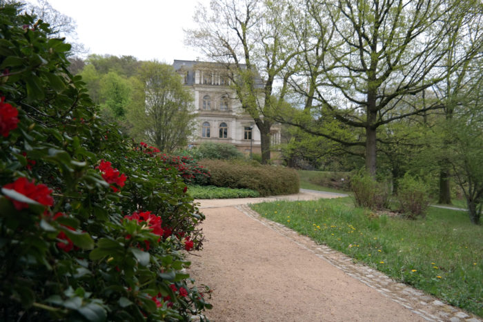 Rhododendronpark Dresden-Wachwitz