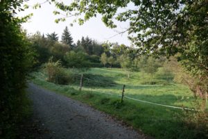 Wanderung zur Goldenen Höhe Dresden