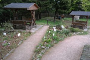 Kräutergarten auf dem Auersberg