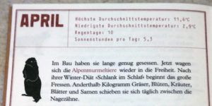Auszug aus dem Sonderheft