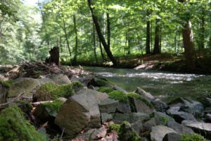 Am Ufer der Großen Röder