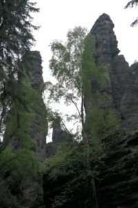 Felsnadeln im Bielatal