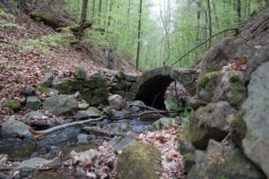 Brücke im Friedrichsgrund