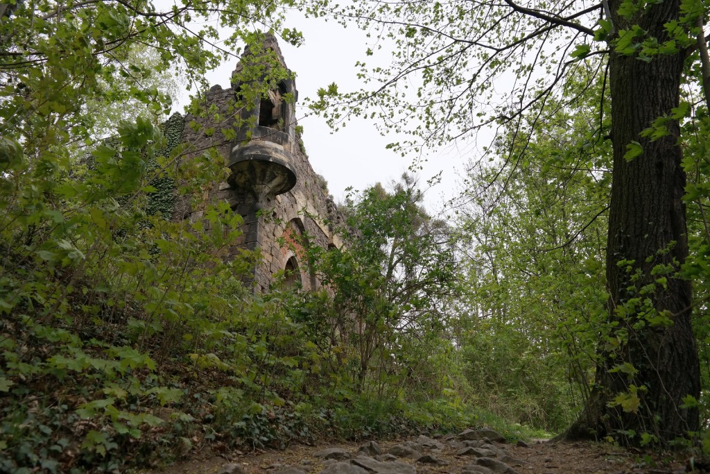 Künstliche Ruine auf dem Schlossberg Pillnitz