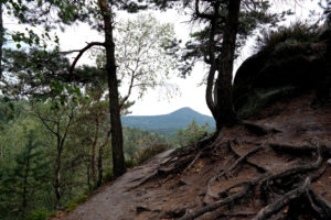 Blick auf die Lausche