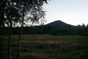 Dämmerung im Lauschemoor