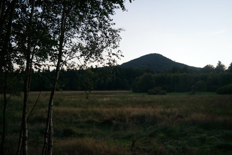 Dämmerung im Lauschemoor