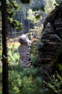 Krumme Tante im Zittauer Gebirge