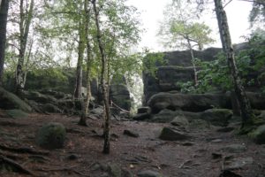 Eingang ins Langenhennersdorfer Labyrinth