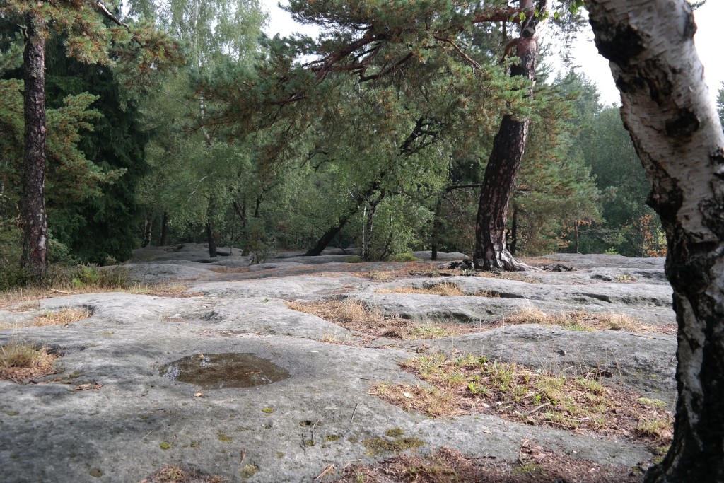 Auf dem Langenhennersdorfer Labyrinth