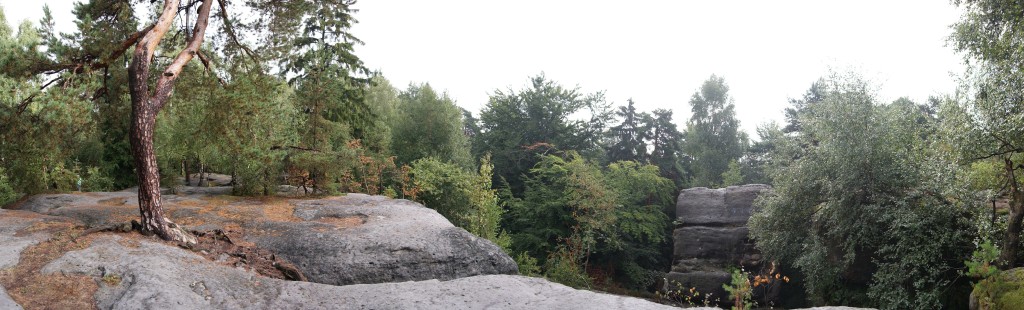 Auf dem Langenhennersdorfer Labyrinth