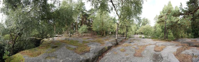 Auf dem Langenhennersdorfer Labyrinth