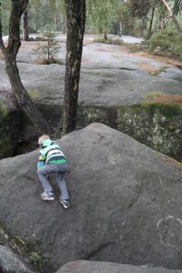 Klettern im Langhennersdorfer Labyrinth