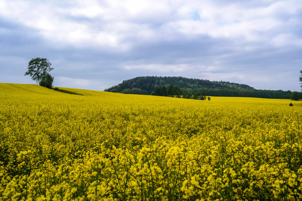 Blick auf den Quirl