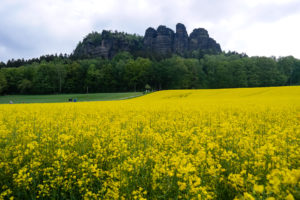 Blick auf den Pfaffenstein