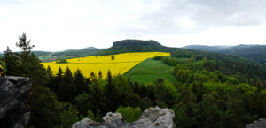 Blick vom Quirl