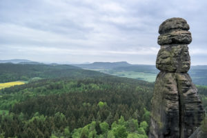 Die Barbarine