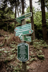 Hier geht's lang - Auf dem Pfaffenstein