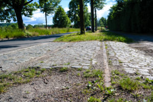 Schienenstrang der Lockwitztalbahn