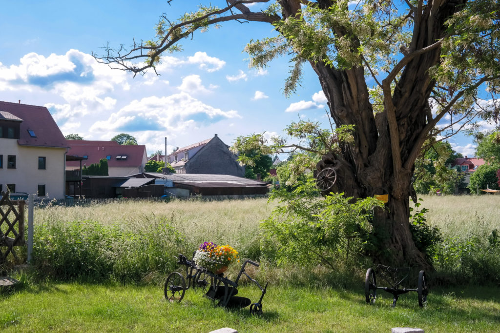 Idyll in Lockwitz/Dresden