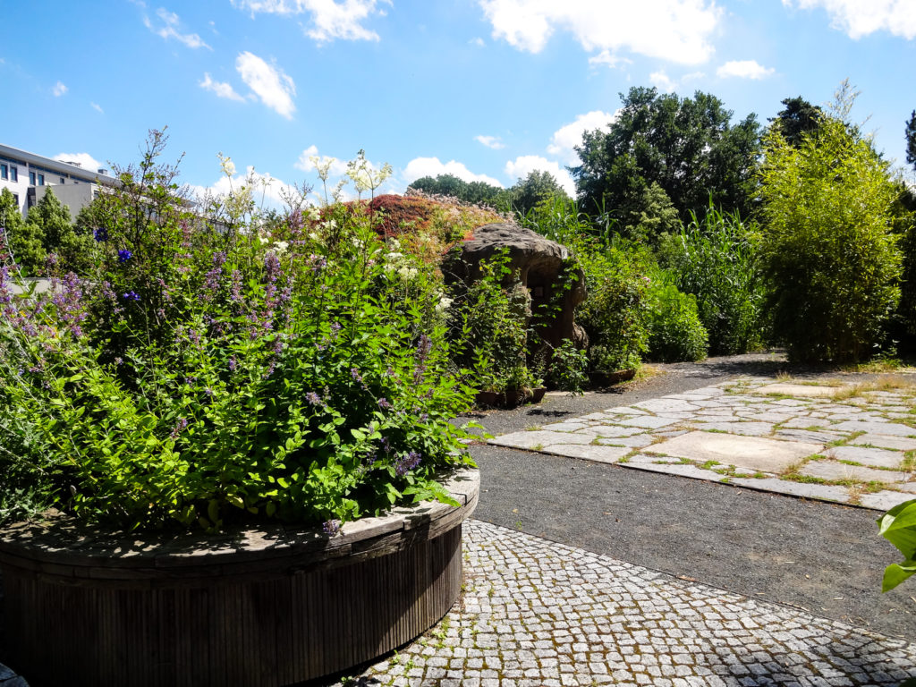 Im Tast- und Duftgarten Leipzig