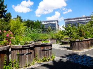 Im Tast- und Duftgarten Leipzig