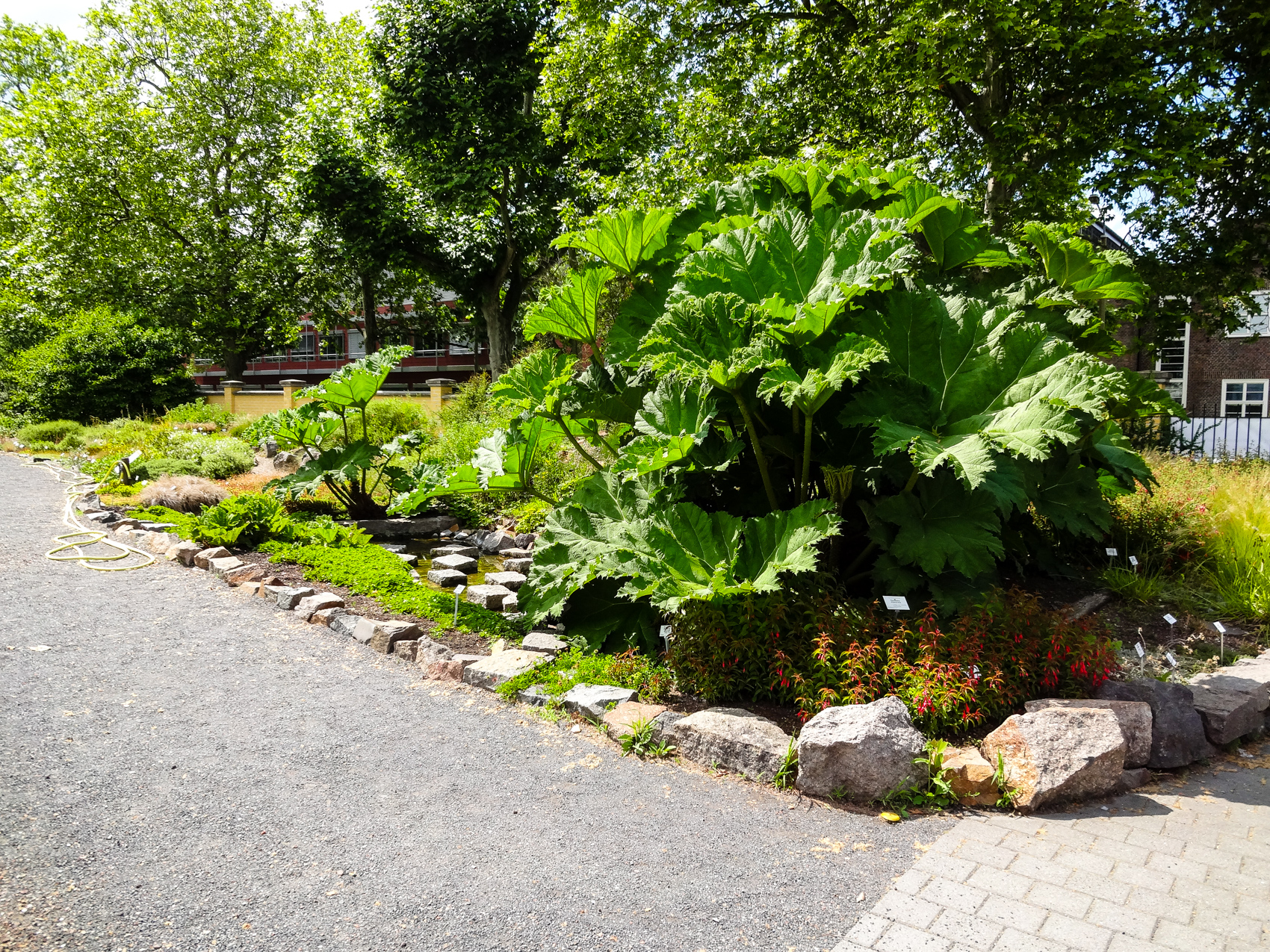 Im Botanischen Garten Leipzig - Sachsen Erkunden