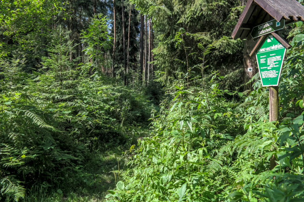 Naturlehrpfad in Cunnersdorf, Sächsische Schweiz