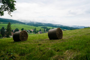 Wiesen in der Sächsischen Schweiz