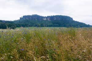 Der Pfaffenstein